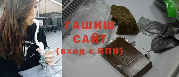 шишки Почеп
