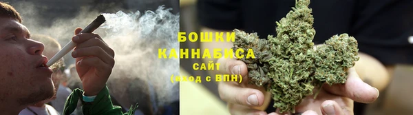 PSILOCYBIN Армянск