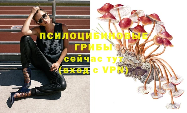 PSILOCYBIN Армянск