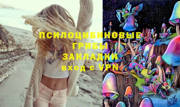PSILOCYBIN Армянск