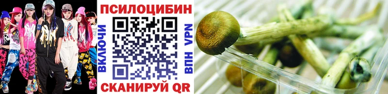 shop как зайти  Солигалич  Псилоцибиновые грибы Psilocybe  хочу наркоту 